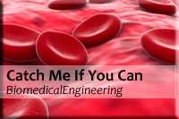 Modules-Catch-Me-If-You-Can | MiddleWeb