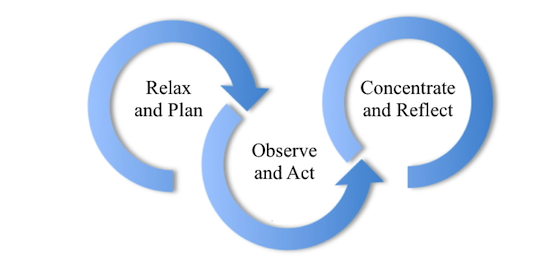 ES-circle-cycle-560 | MiddleWeb ES-circle-cycle-560