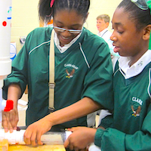 girls-engineering-filtration | MiddleWeb girls-engineering-filtration